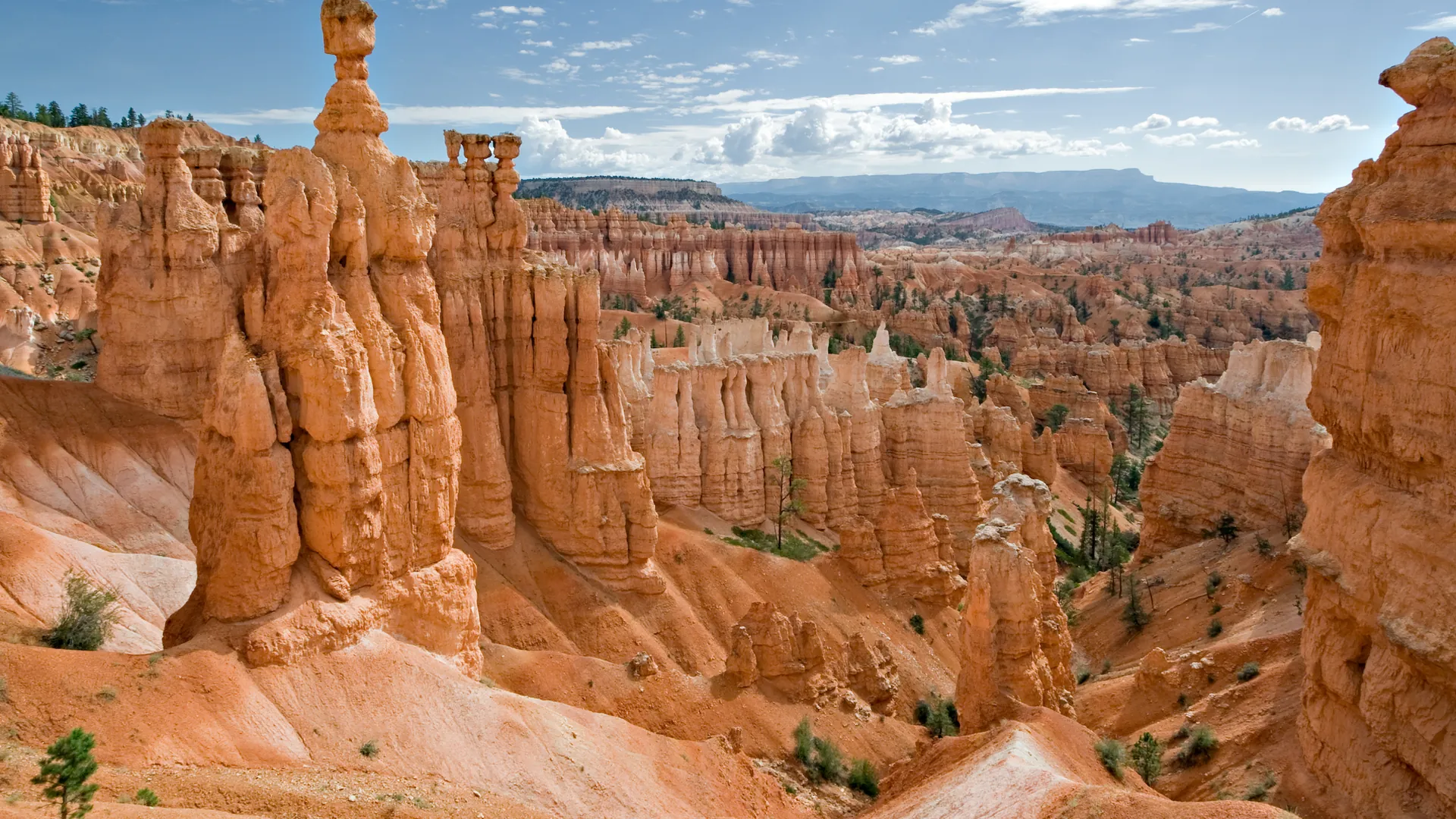 Bryce Canyon landscape