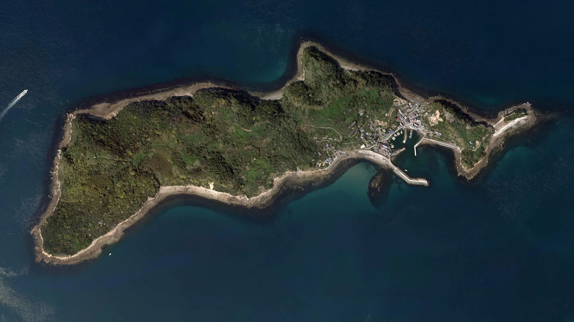 Aoshima Cat Island landscape