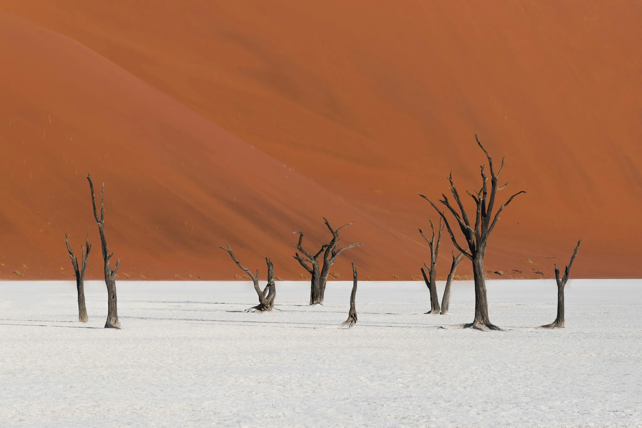 Dead Vlei landscape