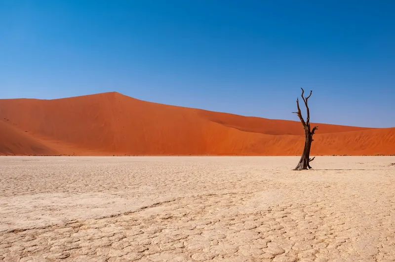 Dead Vlei