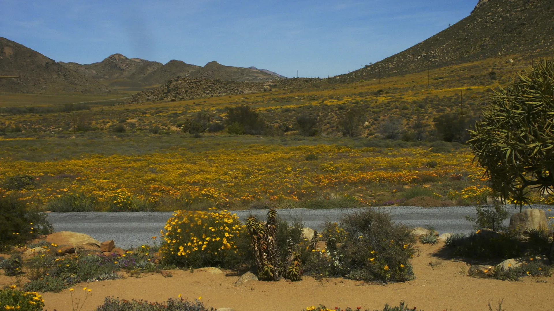 Namaqualand landscape