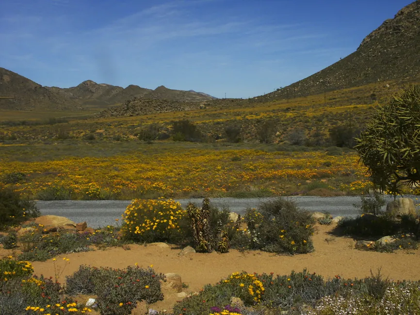 Namaqualand