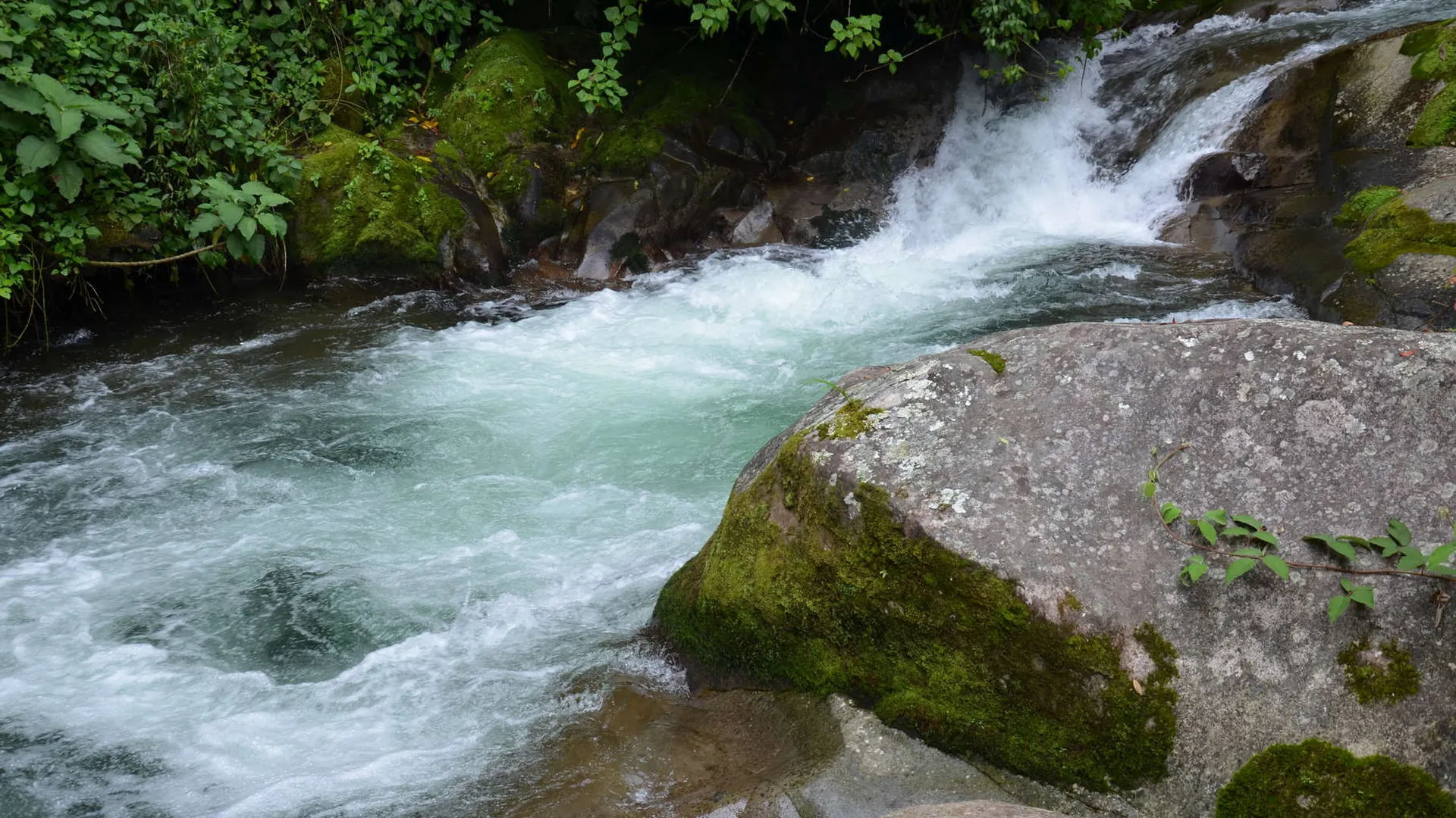 Río Celeste landscape