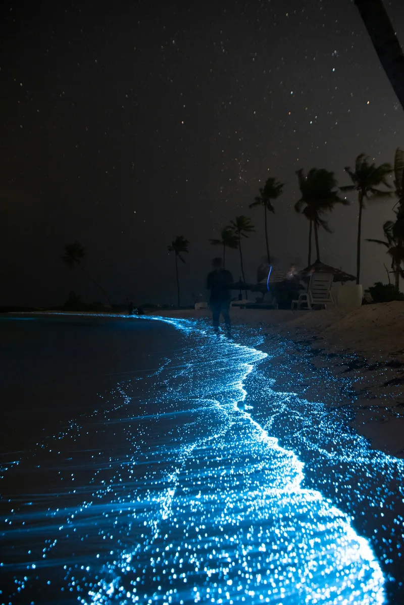 Sea of Stars