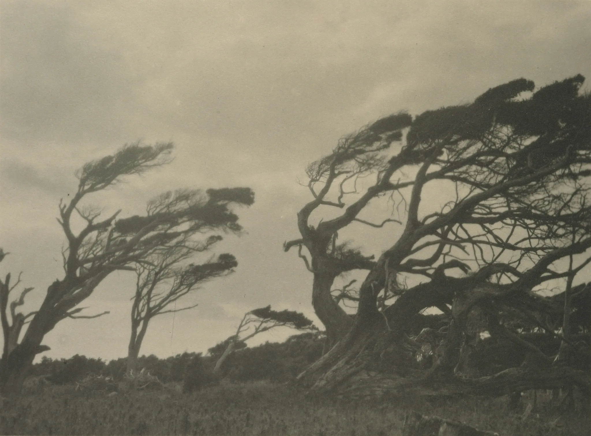 Slope Point landscape