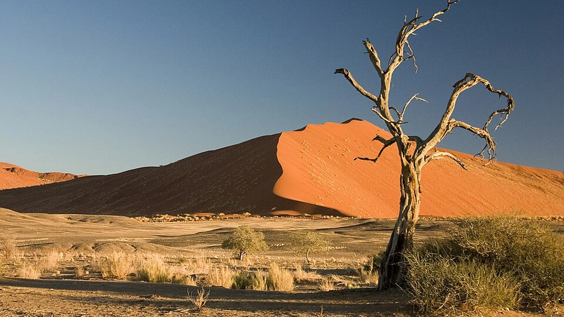 Sossusvlei landscape