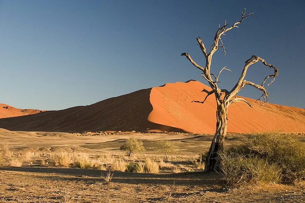 Sossusvlei