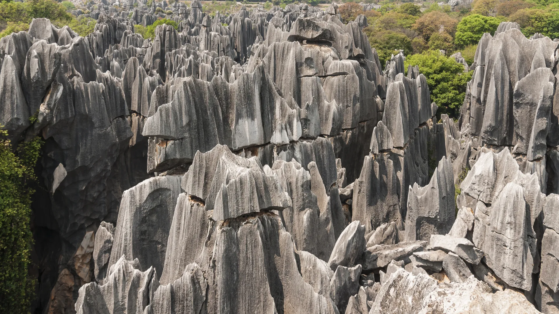 Stone Forest landscape