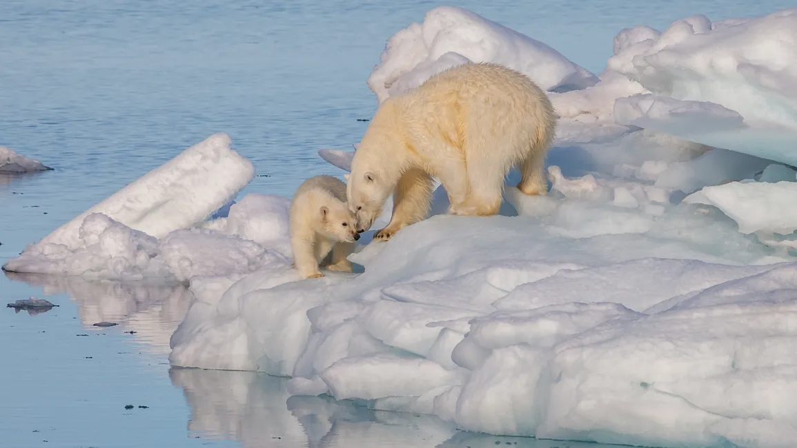 Svalbard