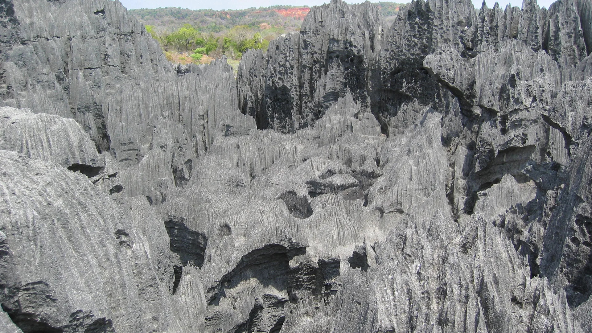 Tsingy de Bemaraha landscape