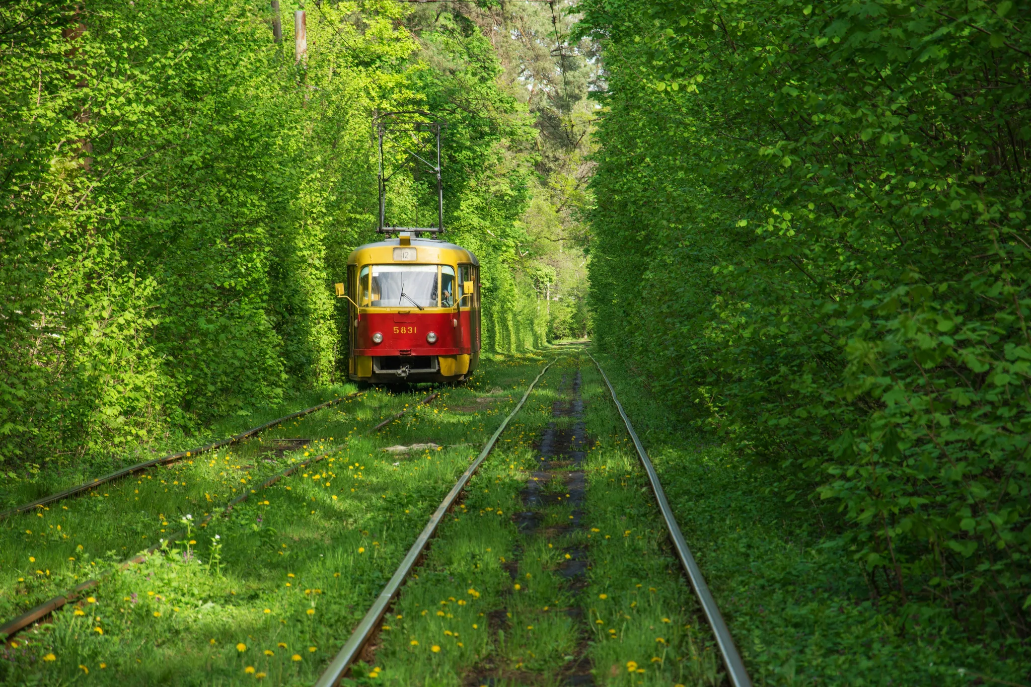 Tunnel of Love landscape