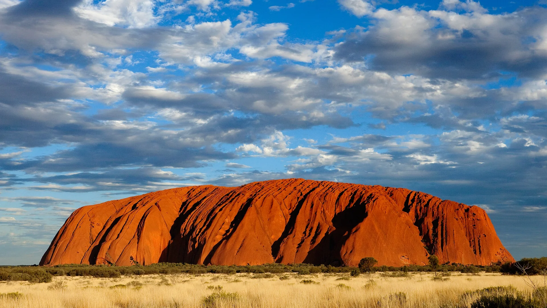 Uluru landscape