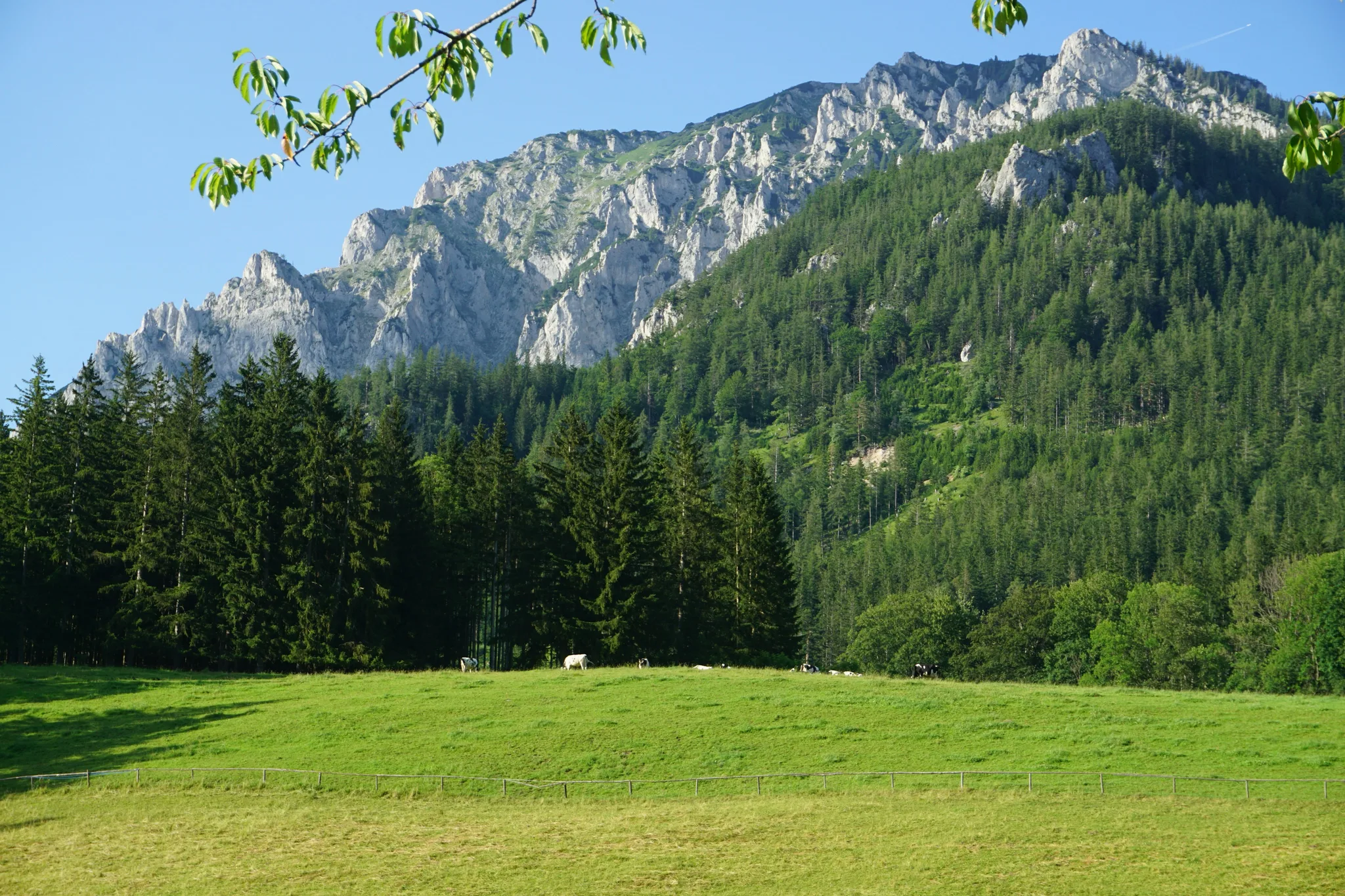 Grüner See Underwater Park landscape
