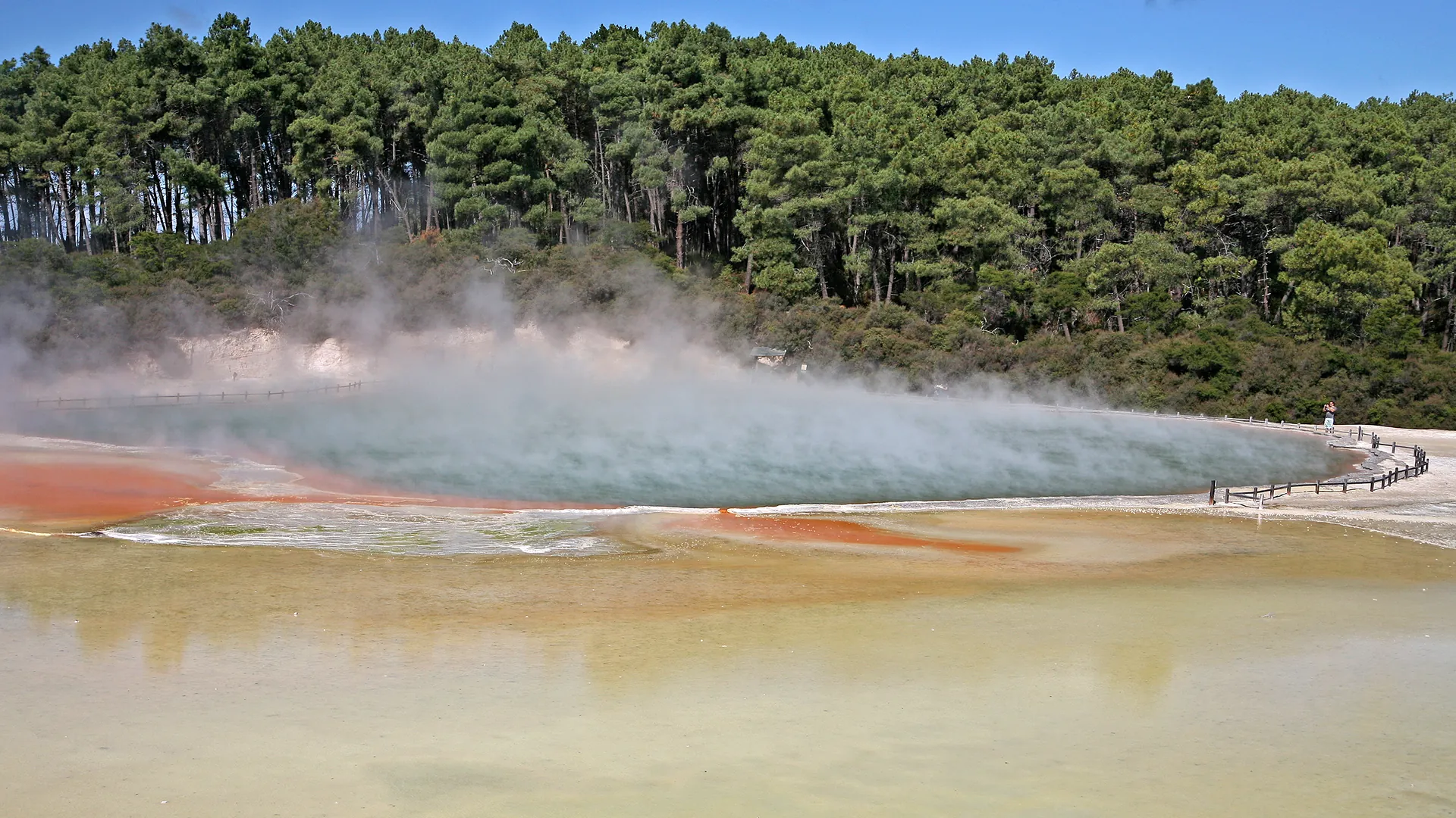 Wai-O-Tapu landscape