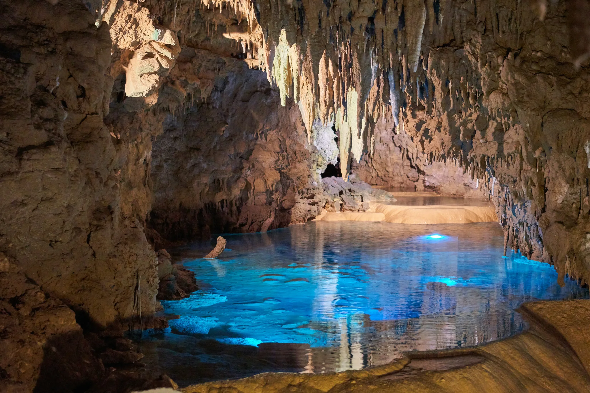 Waitomo Caves landscape